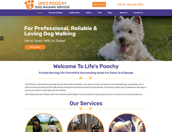 Web Design Vaughan