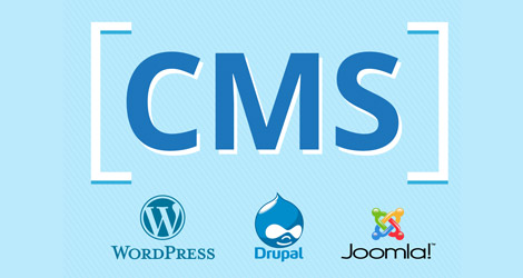 Vaughan's Leading CMS Web Development Company